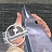 A pixelated image shows a hand holding a silver revolver with a white spiral pattern on the cylinder against a dark background, next to green text reading "Original Icons .com".