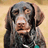 A dog with brown fur and a teal collar appears in four , two showing text overlays reading 'Your MOM' on the right or left side of its face