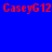 Static image with red text 'CaseyG12' repeated across blue background and cyan rectangles.
