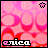 A pink and red patterned background with repeated circular shapes, a small star in the top center, and the text 'anica' at the bottom left, with the 'n' and 'i' in pink.
