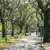 Pixelated static image of a forest scene with trees, a path, and a figure walking on the path.