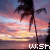 A beach sunset scene with palm trees and a colorful sky, featuring animated text changing across frames.