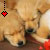 Pixelated image of a light brown dog with dark eyes and nose, head turned right, red heart icon above left side.