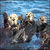 Animated sequence of ground hogs on a rock in water, transitioning from multiple small figures to one large figure.