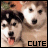 Pixelated image of two dogs with light brown and white fur, one showing tongue, text 'CUTE' in black at bottom right.