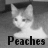 Pixelated grayscale image of a cat-like creature with closed eyes and a rounded head, positioned above the word "Peaches" in bold block letters.