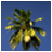 Pixelated palm tree with green fronds and yellow accents against a solid blue background, rendered in low-resolution style.