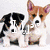 Two dogs and a penguin in pixelated style with text overlays; one dog is black-and-white, the other brown-and-white.