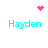 Four cyan 'Hayden' text icons arranged in a with pink pixel art symbols above and between them on white background