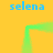 Yellow background with four blue 'selena' text labels and a green gradient line forming a square frame with rounded corners.