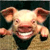 Animals icons for AIM, MSN, MySpace and Yahoo