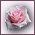 floral and anime-style character icons with a pink, blue, red, and white color scheme