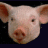 A 4x3 contact sheet of a pig-themed animated icon showing heart-shaped frames filling with pink color across 12 sampled frames, with a static pig head image in the top-left corner and red 'pigs' text at bottom-right.