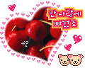 Animated contact sheet of 12 AIM buddy icons featuring Korean text, hearts, cherries, candles, oranges, and rings with pink/purple/orange color schemes.