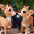 Two cartoon reindeer stand side-by-side on a green background with a red text reading 'May the warmth of Christmas grant you L*O*V*E'