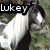 Four quadrants display horse images with overlaid text: 'Lukey' top-left, 'Wishes' top-right, 'To be' bottom-left, 'Mayor' bottom-right.
