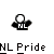 Pixelated icon shows a figure with a white circular head and black body wearing a black shirt with white 'NL' text, positioned above 'NL Pride' text on a gray background.