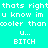 Pixelated text on four colored : cyan, purple, pink, and gray, each displaying the phrase "thats right u know im cooler than U... BITCH" in white block letters