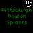 A static pixel art image with a black background, green text reading 'Pittsburgh Poison Spiders', and a white heart-shaped cursor icon at the top center.