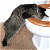 A split-frame contact sheet showing a pixelated cat on the left and green text reading "Original Icons .com" on the right against a dark background.