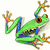 Pixelated green frog with orange limbs and red eyes, positioned diagonally against a white background.