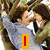 six pixelated images featuring characters from Twilight, with text overlays including "ABSOLUTELY," "TWILIGHT," and "THE MOVIE."