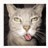 Static 48x48 pixel buddy icon showing a close-up of a cat's face with its tongue out, rendered in low-resolution grayscale tones with pink accents on the tongue against a dark background.