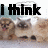 A static image of three cats with thought bubbles and text overlays reading "I think there's a spy among us".