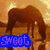 A four- shows a horse in different scenes with overlaid text: 'sweet' on an orange background, 'water' over blue water, and 'frank' on green grass
