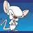 A 48x48 pixel animated buddy icon featuring a white cartoon rabbit with large ears, shown in two side-by-side frames on a blue background where the right frame has a red nose and left frame does not.