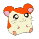 A cartoon hamster with orange fur on its head and ears, cream-colored face and body, pink inner ears, and small brown paws appears in multiple expressions across a