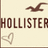 Pixelated icon with brown seagull, 'HOLLISTER' text, and heart symbol; right side adds red 'Is LOVE' text.