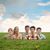 The Futureheads's Songs | Stream Online Music Songs | Listen Free on Myspace