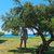 Pixelated static image of a tree with dense foliage under a blue sky, featuring a figure standing beneath it on a grassy area with water in the background.