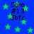 Blue background with green stars and repeated text "Cara #13 Jbfc" in black pixelated font.