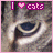 iconhell_bapity88_ilovecats