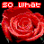 Four red roses with pixelated text overlays forming a phrase across the , each rose identical in appearance