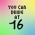 Pixelated text on a gradient background with six distinct sections showing age-related phrases and numbers.