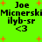 Bright green background with orange plus signs and repeated text elements including 'Joe Micnerski', 'ilyb-sr', and '<3' in black pixelated font.