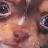 Pixelated close-up of a face with light skin tone, dark eyes, and visible nose and mouth area.