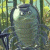 Pixelated image of a cartoon character with large eyes and a rounded head, set against a blurred background of vertical green and yellow shapes.