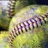 A pixelated baseball image with green text reading "Do You Love The Game Like I Do?? Buggy #33" on a dark background.