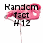 A pink flamingo icon with text overlays reading "Random fact #12" and "There are more plastic flamingos than real ones." on a white background.