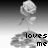 A grayscale animated icon shows a rose on a stem with two leaves, positioned above pixelated text that changes between 'loves me' and '... loves me not'.