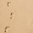 A four- displays pixelated text and a sandy background with footprints. The top-left shows three brown footprints on light brown sand. The top-right has yellow text on blue reading "Don't Follow In My Footsteps...". The bottom-left has yellow text on blue reading "I Walk Into Walls". The bottom-right is solid gray. The text uses a blocky, pixelated font. The image has a low-resolution, retro digital appearance. The overall mood is humorous and slightly melancholic. The image is static with no animation. The colors are primarily blue, yellow, brown, and gray. The composition is divided into four equal quadrants. The footprints are arranged vertically on the left side. The text is centered within each blue . The image has a nostalgic feel due to its low