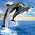Two dolphins leap from blue water against a sky with light clouds, rendered in pixelated style.