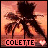 Animated contact sheet of a palm tree silhouette against an orange sunset sky with repeated text "COLETTE" and pink hearts at the bottom of each frame.