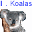 Animated koala icon with repeated text labels, showing subtle variations in the koala's expression and background symbols.