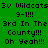 Pixelated text celebrating '3v Wildcats 9-1!!! 3rd In The County!!! Oh Yeah!!!' displayed across green and yellow backgrounds in a
