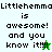 Pixelated text reads "Littlehemma is awesome! and you know it!" with a green star and white star icon variation on a green and white background.